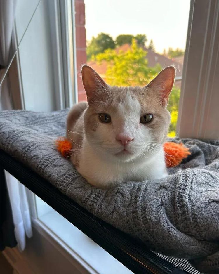 image-20230918141838-15