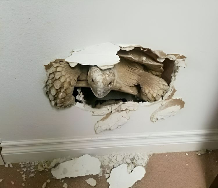 image-20230919122431-3