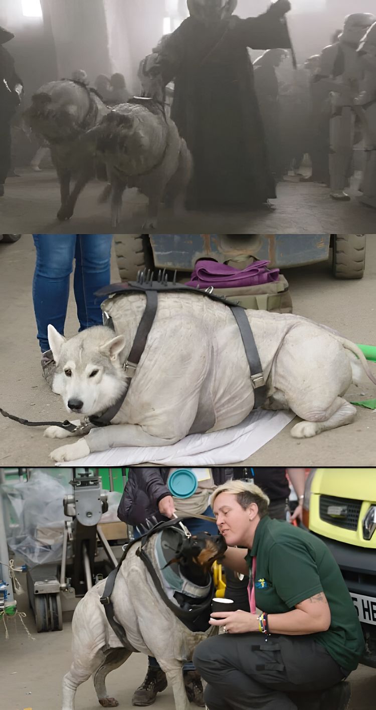 image-20230919122434-4