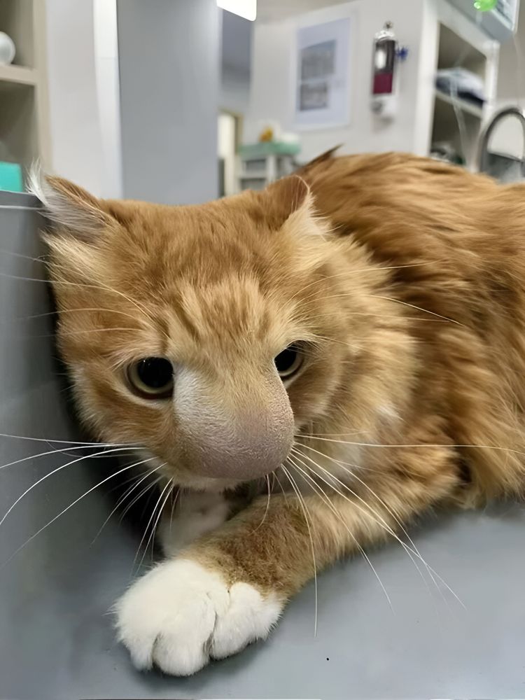 image-20230919122508-9