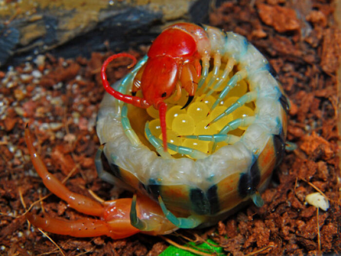 image-20230919122518-12