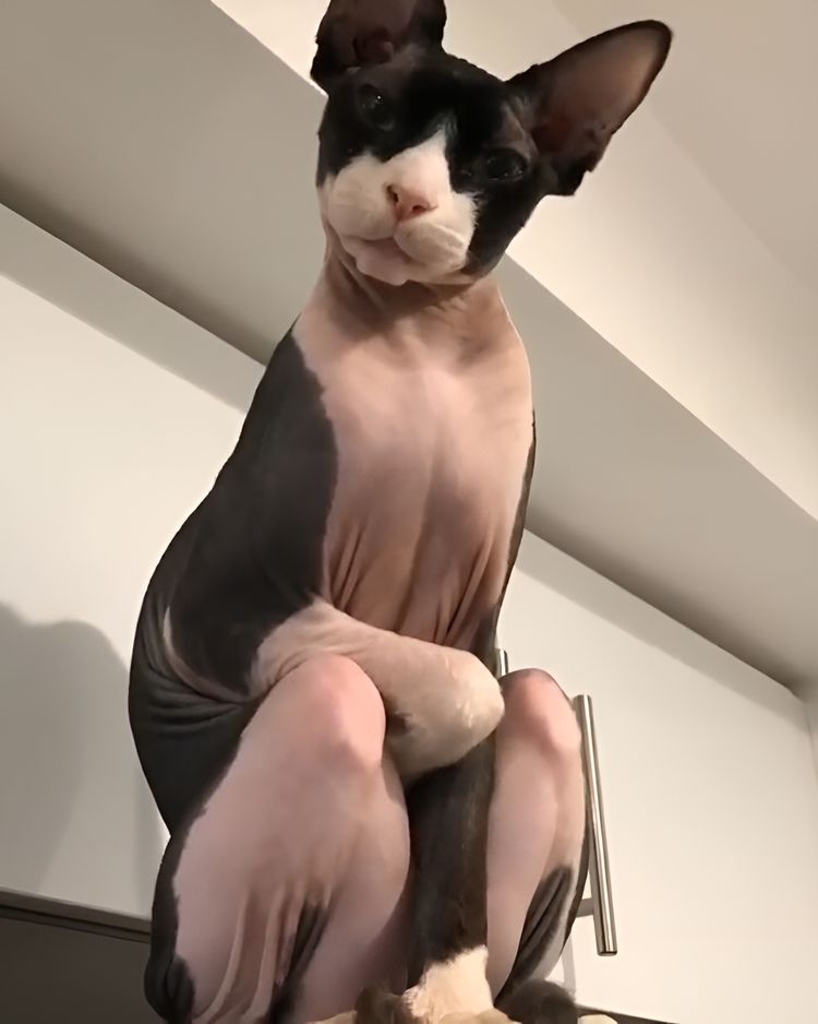 image-20230919122521-13