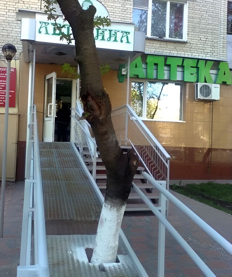 image-20230919135508-10