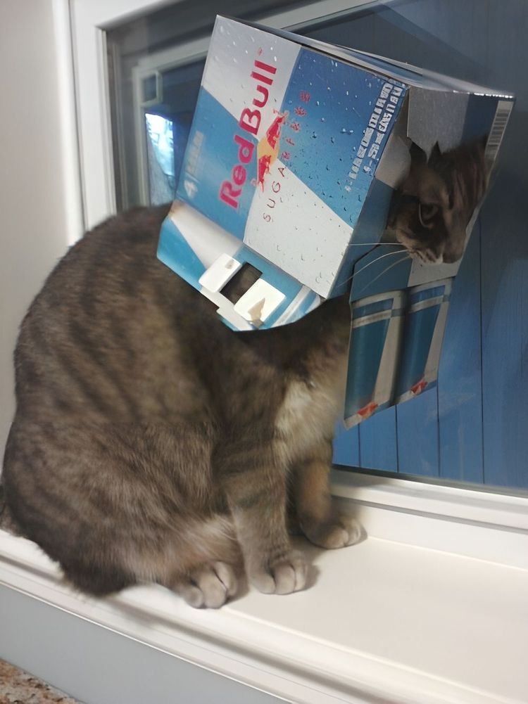 image-20230919162108-17