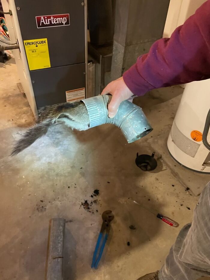 image-20230920145450-7