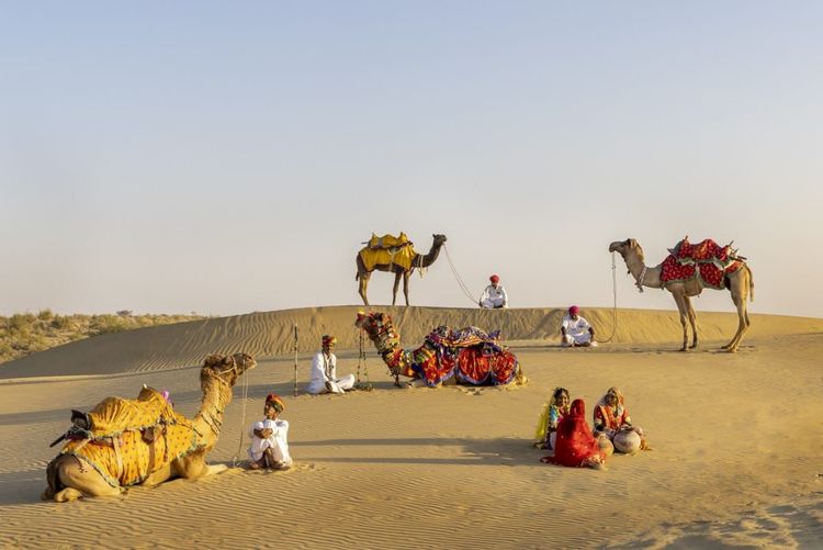 image-20230921113604-7