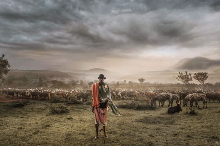 image-20230921113607-8