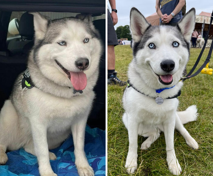 image-20230922115810-2