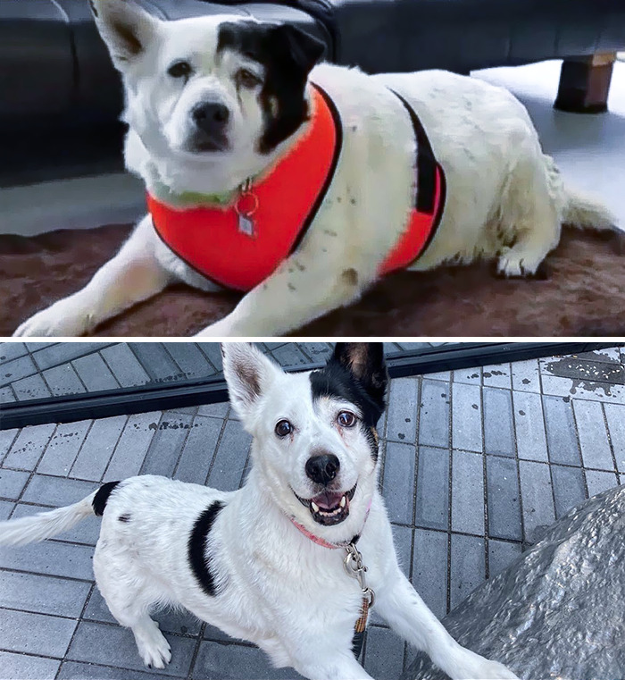 image-20230922115818-4