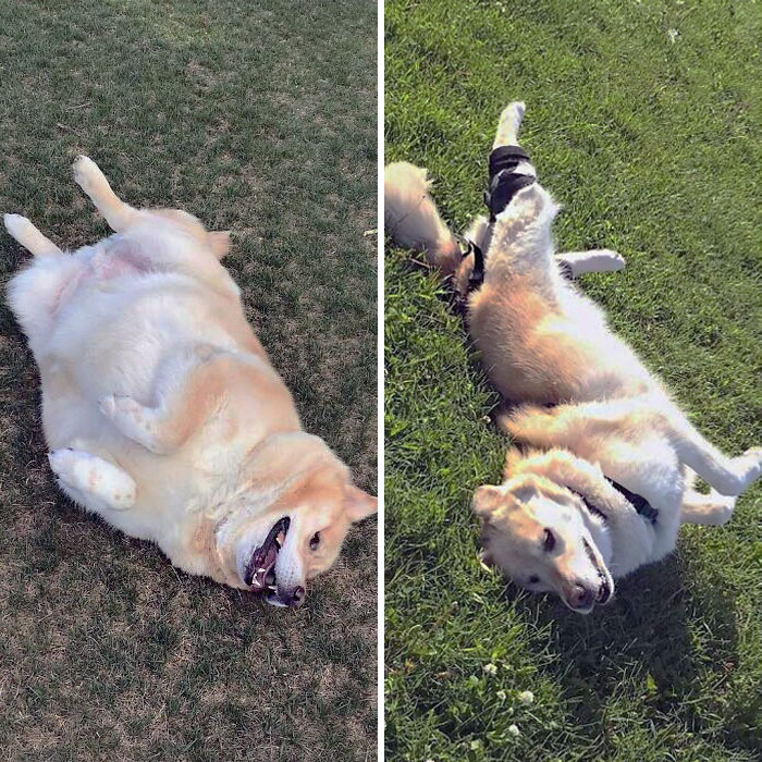 image-20230922115823-5