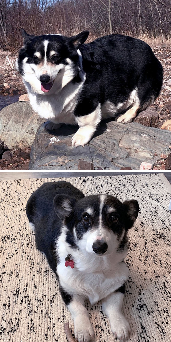 image-20230922115828-6