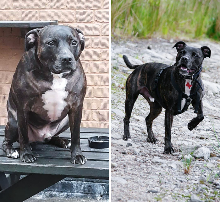 image-20230922115841-9