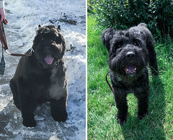 image-20230922115844-10