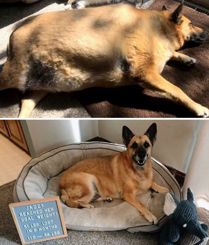 image-20230922115848-11