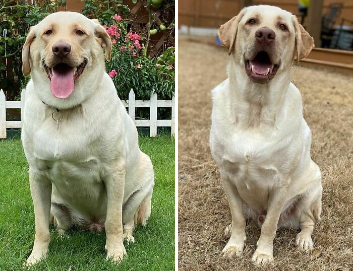 image-20230922115851-12