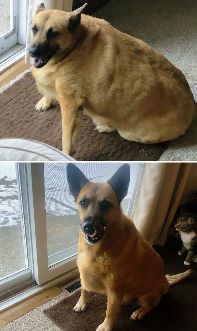 image-20230922115912-14