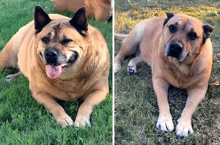 image-20230922115915-15