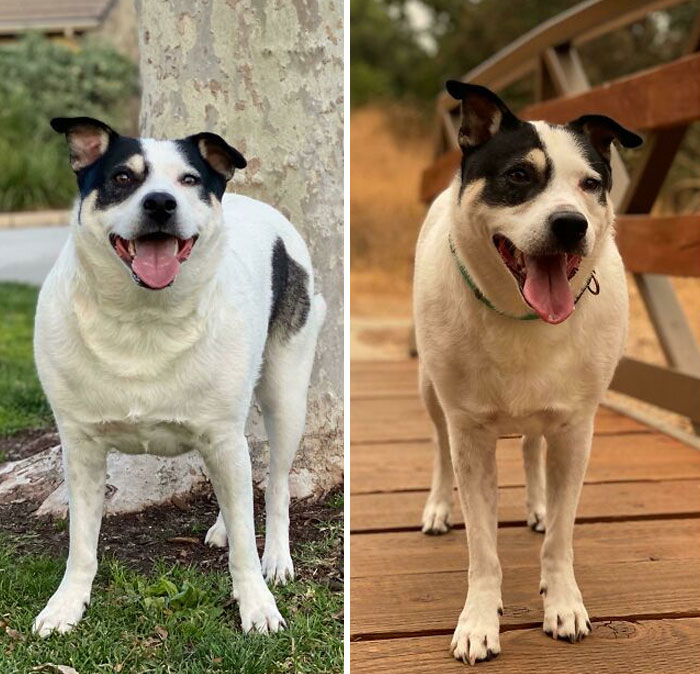 image-20230922115919-16