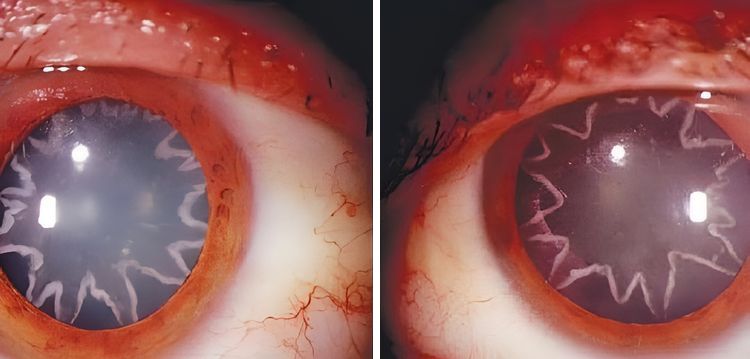 image-20230922143911-12