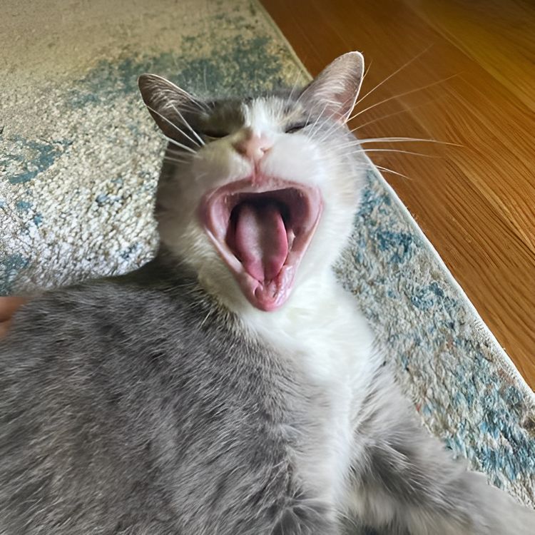 image-20230922143915-13