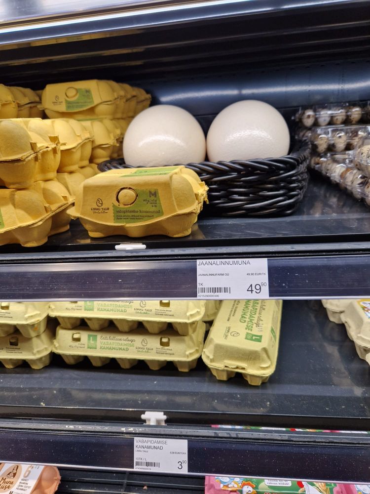 image-20230923122207-5