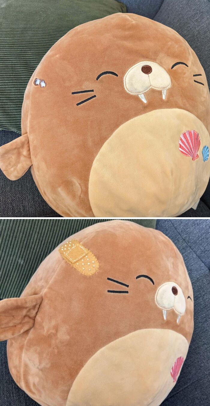 image-20230923135758-5