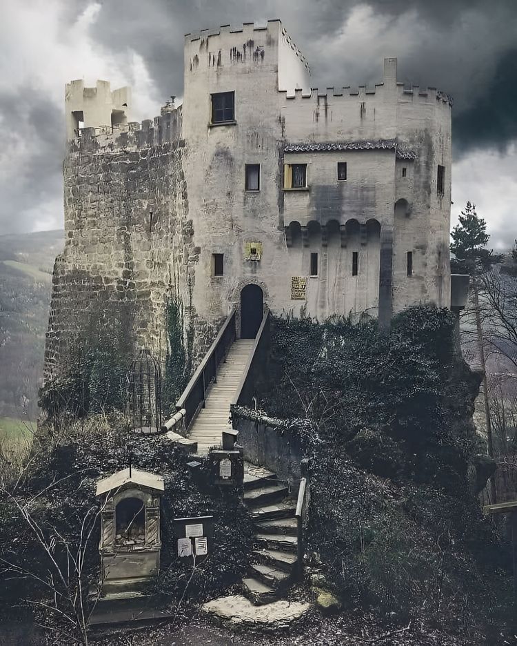 image-20230923150352-1