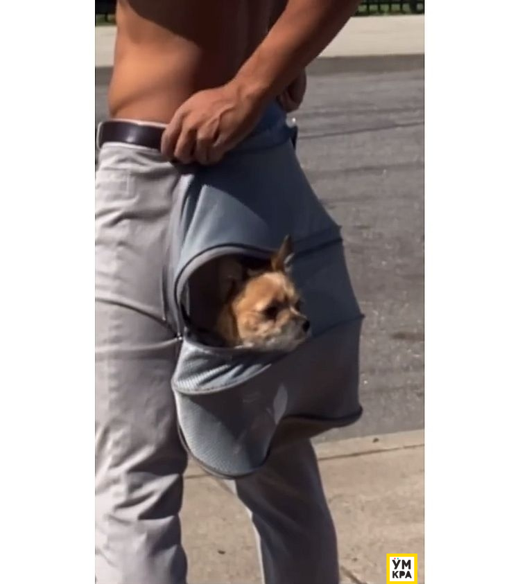 image-20230926030109-5