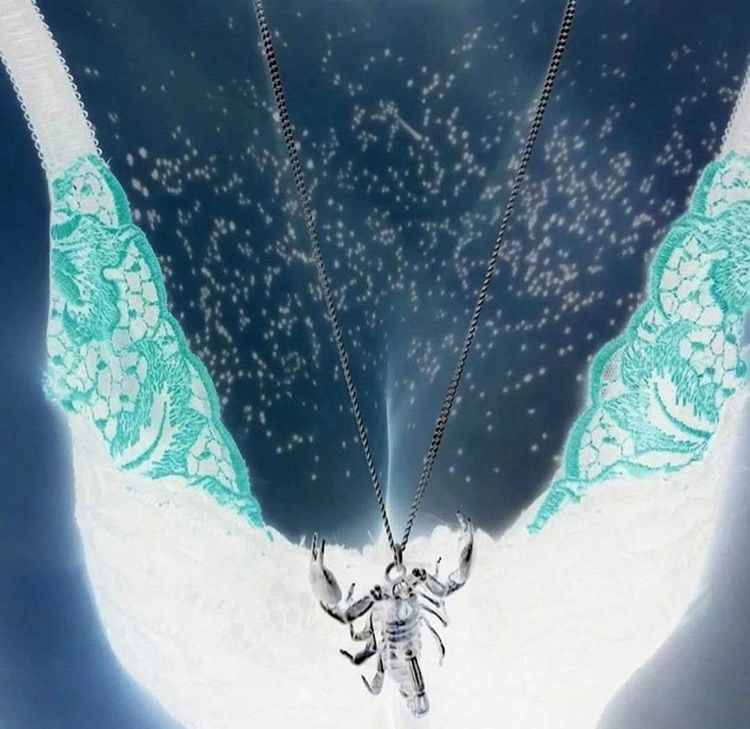 image-20230927021225-1