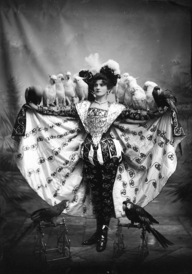 image-20230928114638-2