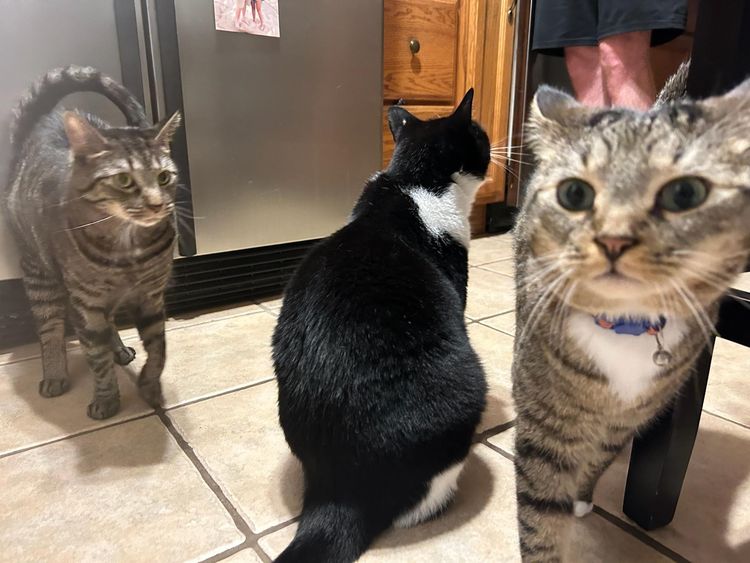 image-20230928125321-2