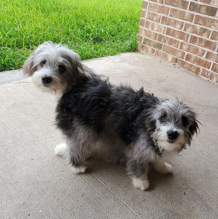 image-20230928125333-5