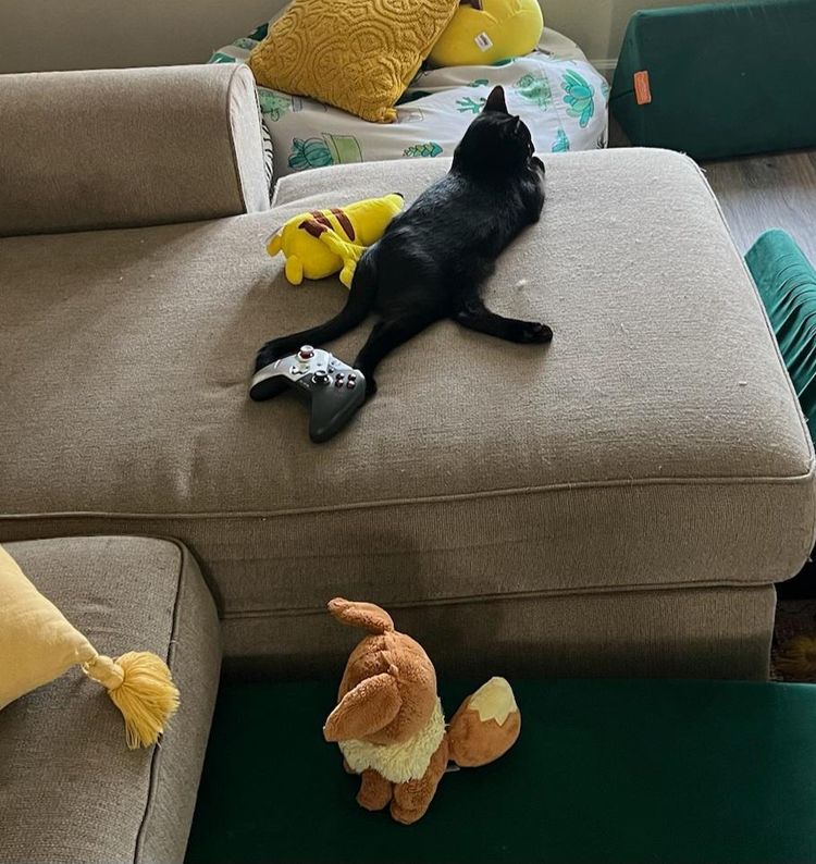 image-20230928125356-7