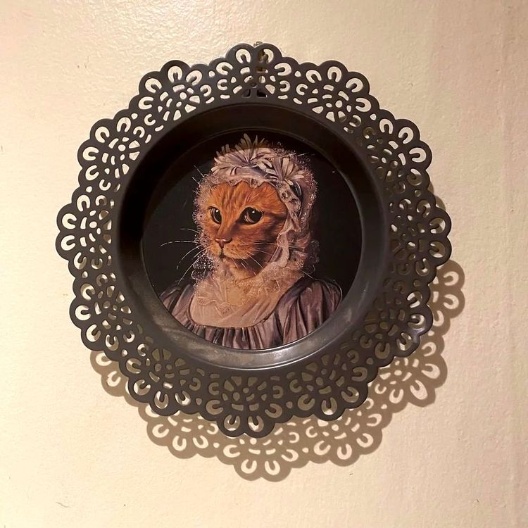 image-20230928135236-5