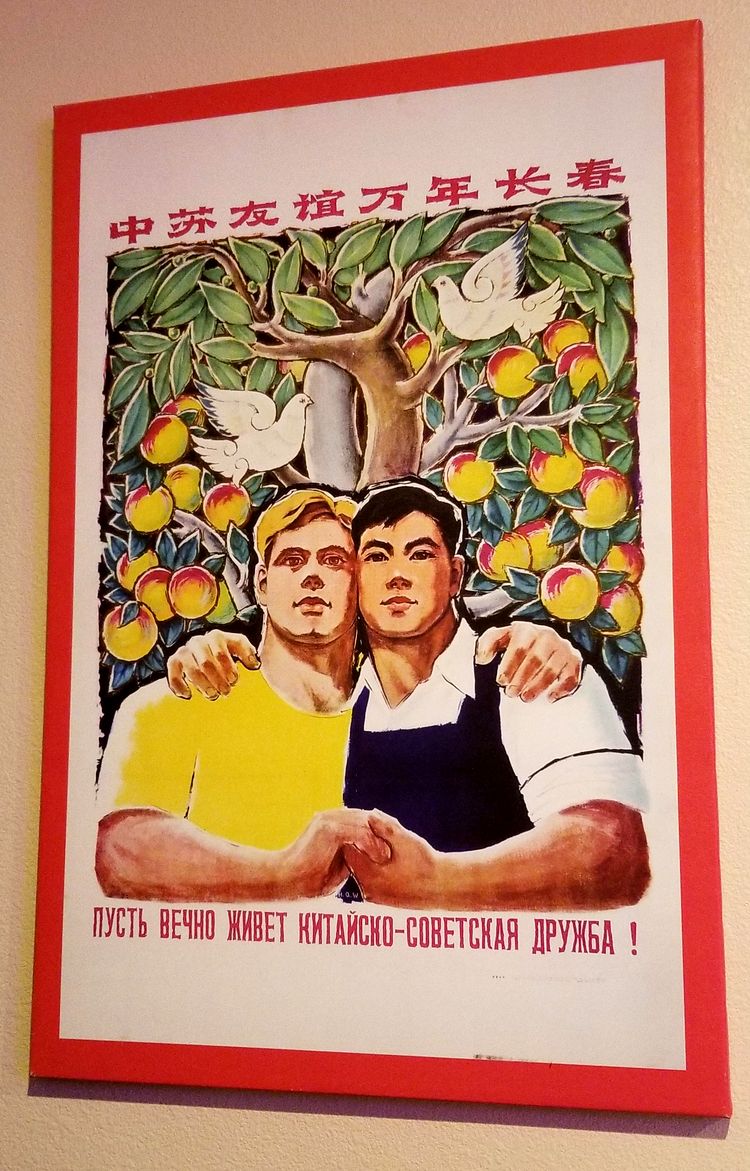 image-20230928135310-11