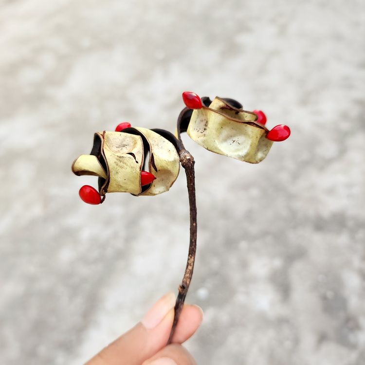 image-20230929110416-1