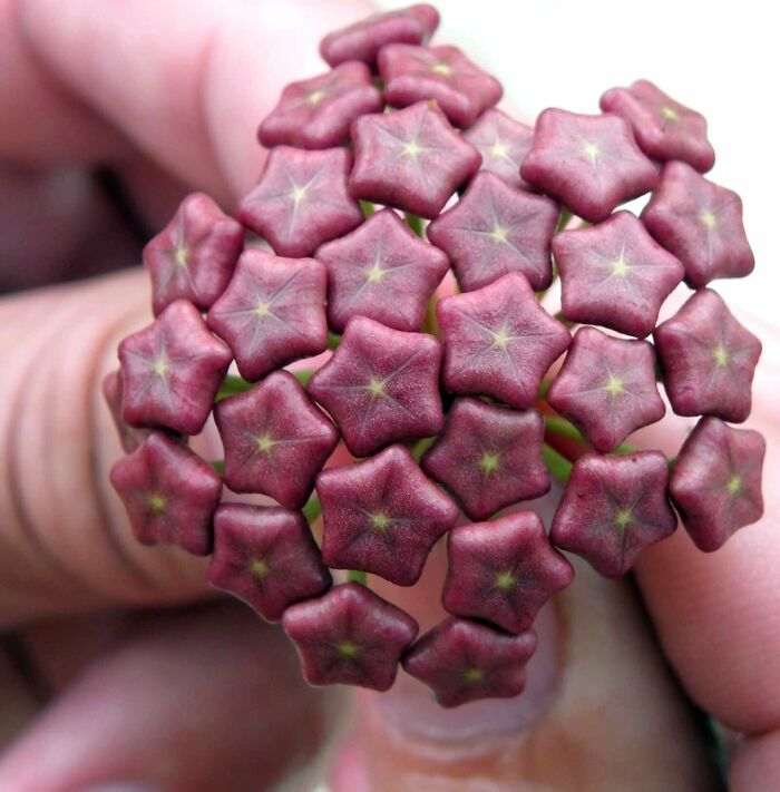 image-20230929110421-2