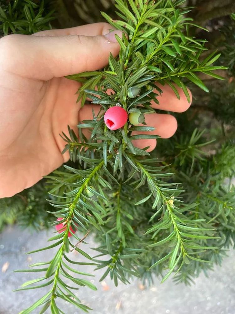 image-20230929110424-3