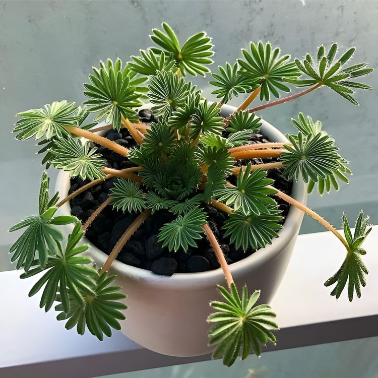 image-20230929110508-5