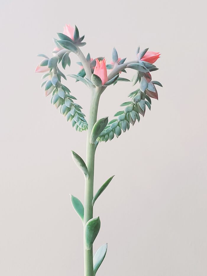 image-20230929110511-6