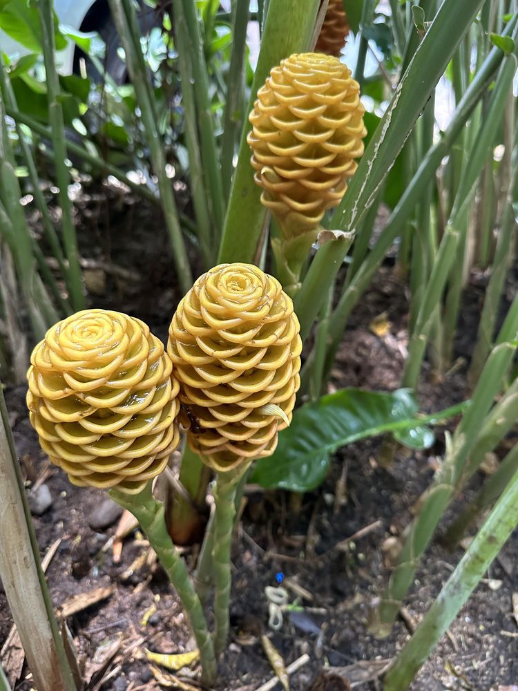 image-20230929110515-7