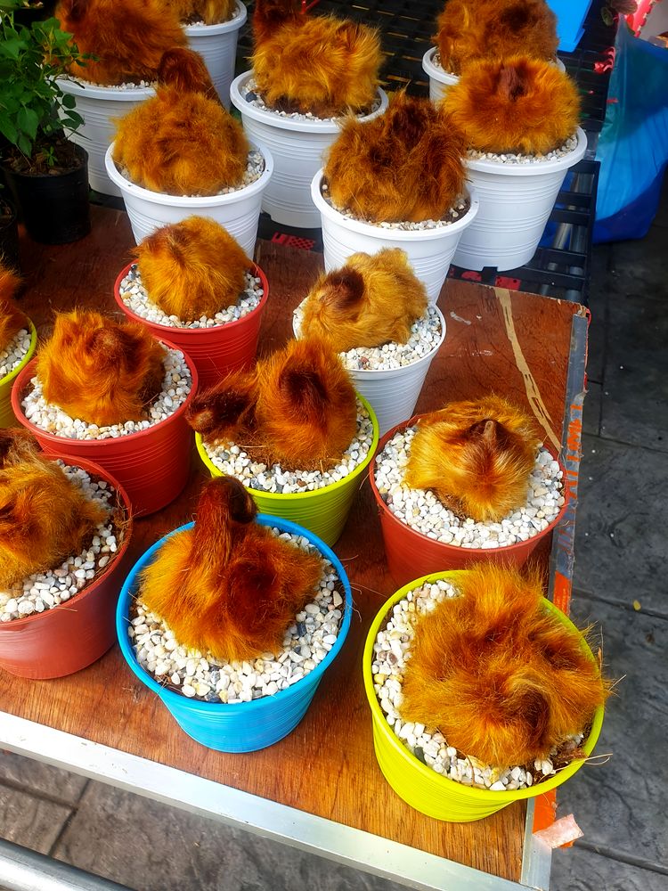 image-20230929110702-12