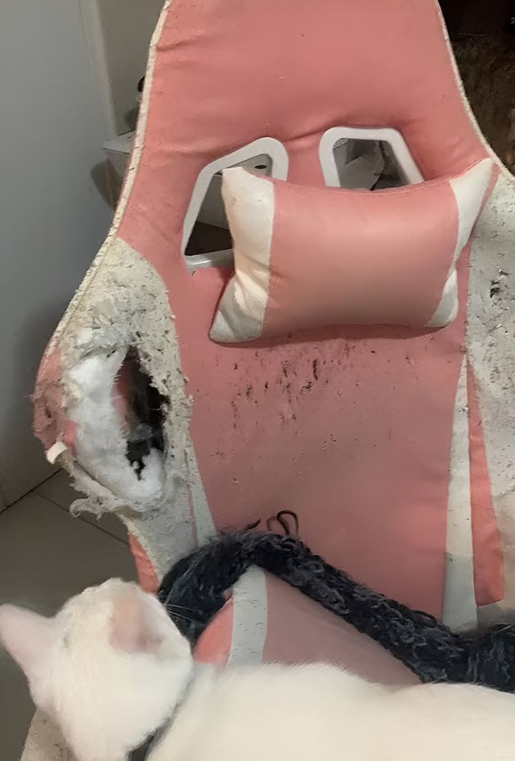 image-20230929115125-9