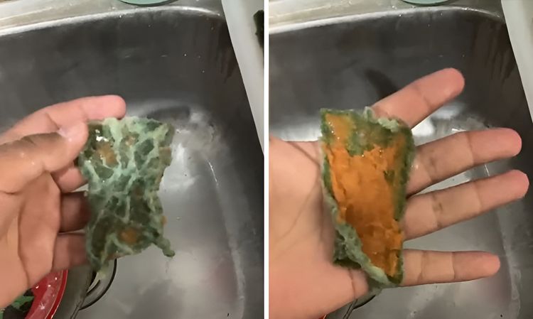 image-20230929115132-11