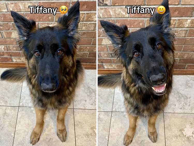 image-20231003101107-8