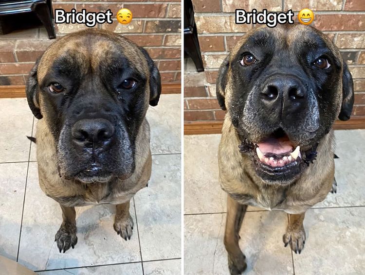 image-20231003101115-10