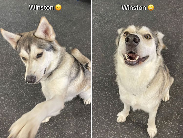 image-20231003101123-12