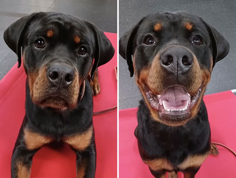 image-20231003101145-16