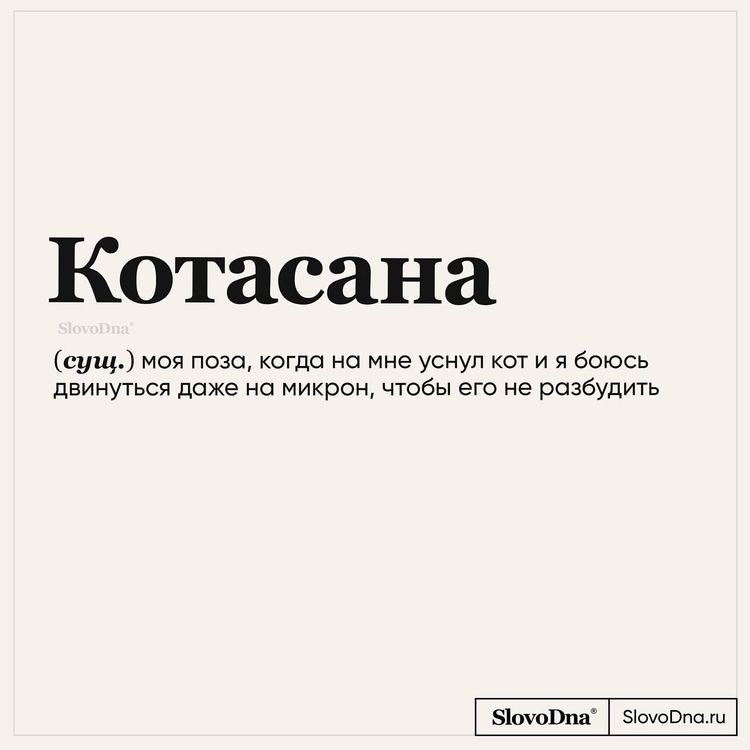 image-20231003112122-2