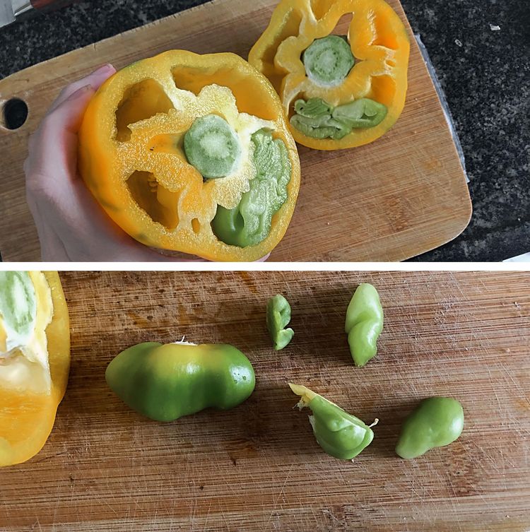 image-20231003130018-12